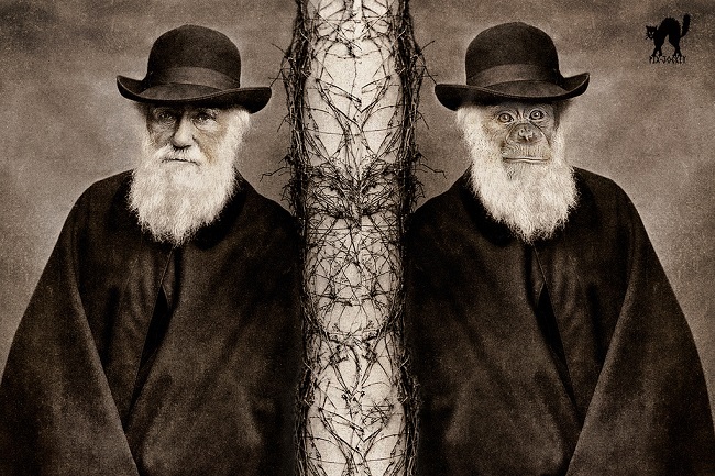 Darwin-Day